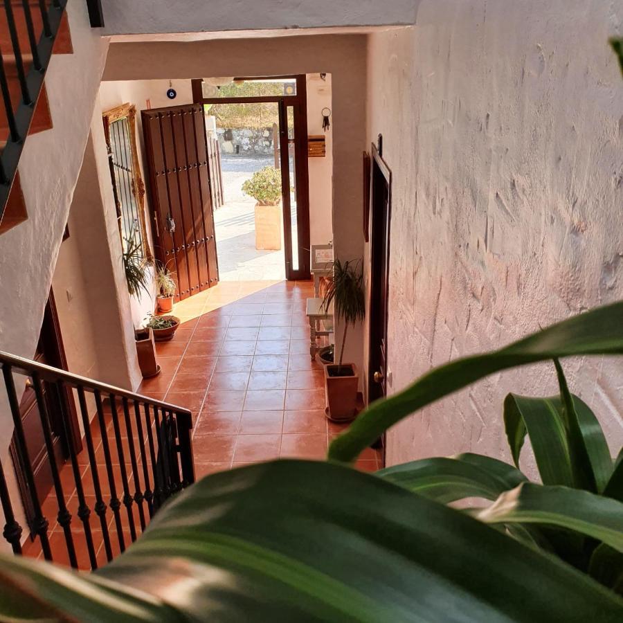 Apartamentos Rurales Sierra Alta Benaocaz Exteriér fotografie