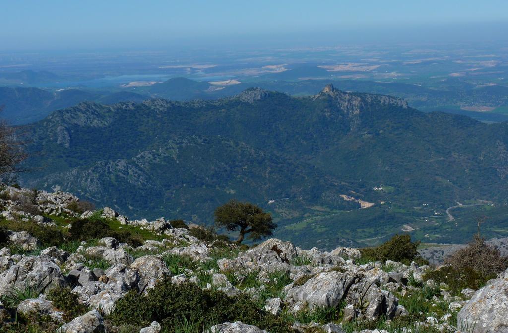 Apartamentos Rurales Sierra Alta Benaocaz Exteriér fotografie