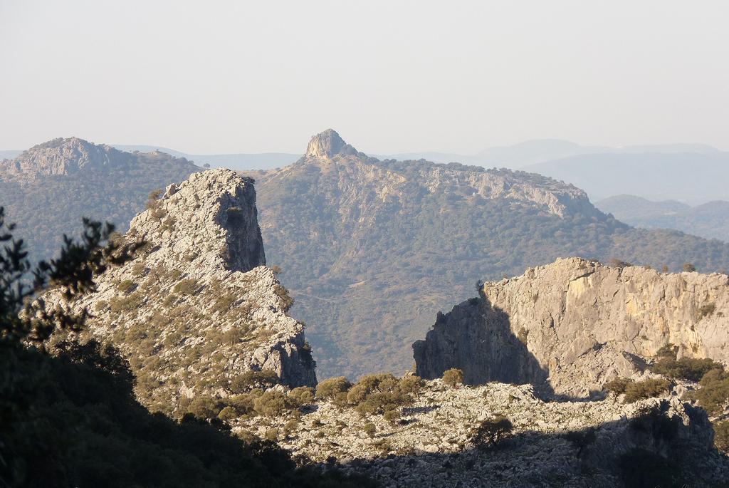 Apartamentos Rurales Sierra Alta Benaocaz Exteriér fotografie