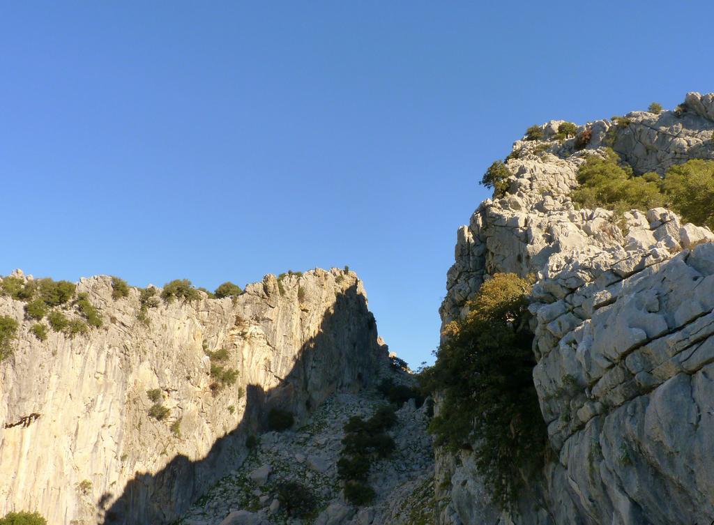 Apartamentos Rurales Sierra Alta Benaocaz Exteriér fotografie