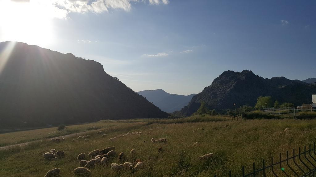 Apartamentos Rurales Sierra Alta Benaocaz Exteriér fotografie